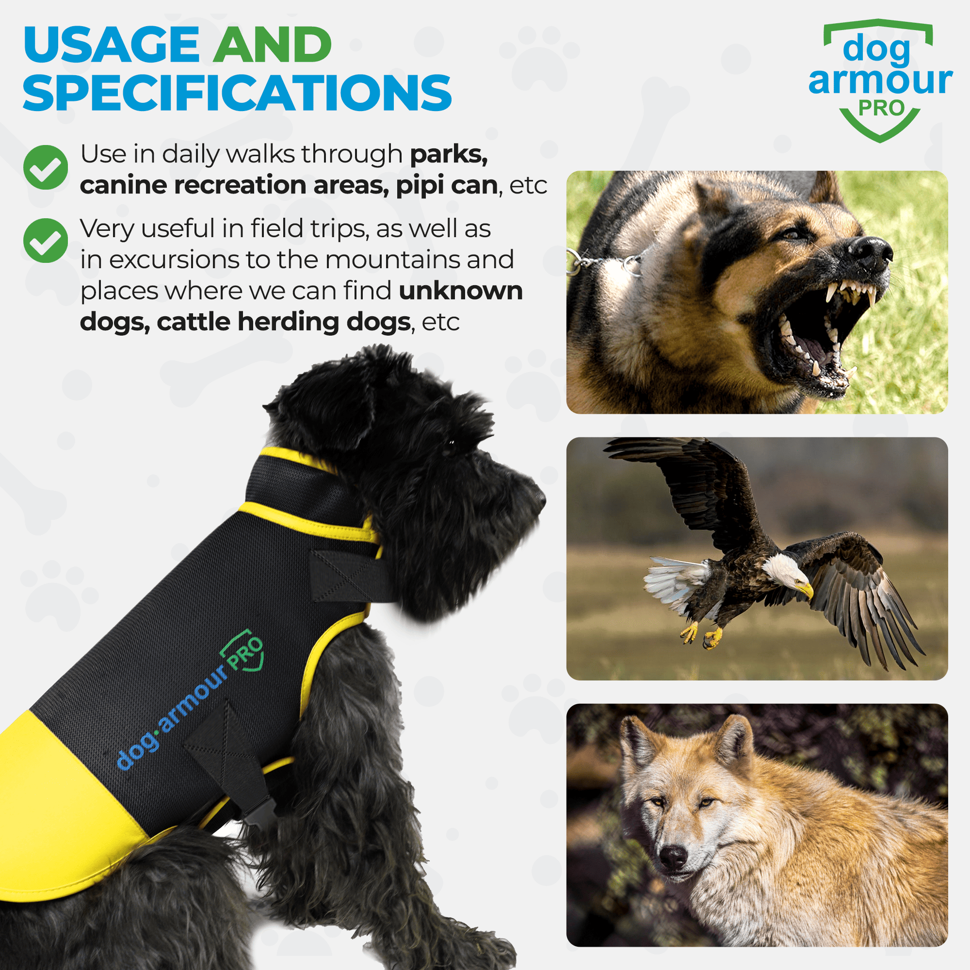 Dog protected from attacks while wearing Dog Armour PRO Anti-Bite Vest during outdoor walk