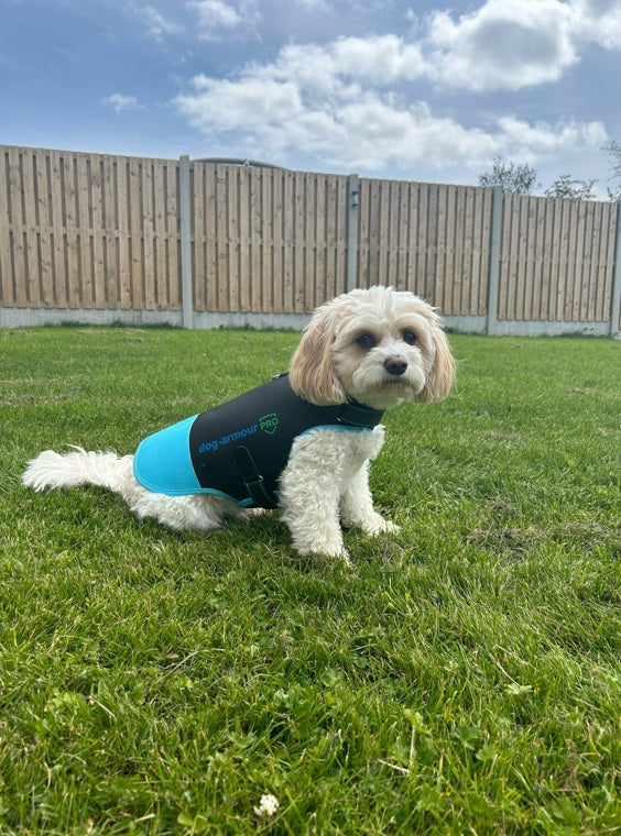 Dog Armour PRO Anti-Bite Protection Vest for Dogs, waterproof and comfortable design