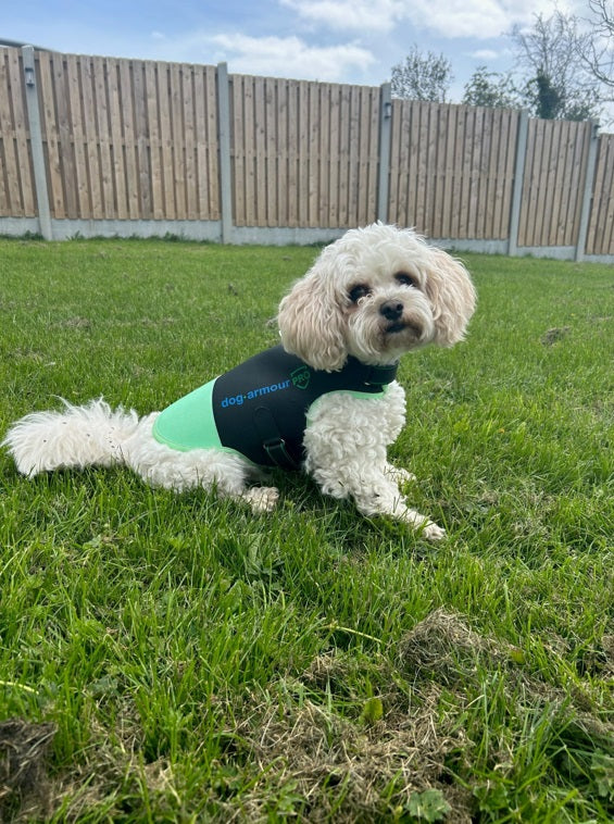 Dog Armour PRO Anti-Bite Protection Vest for Dogs, waterproof and comfortable design