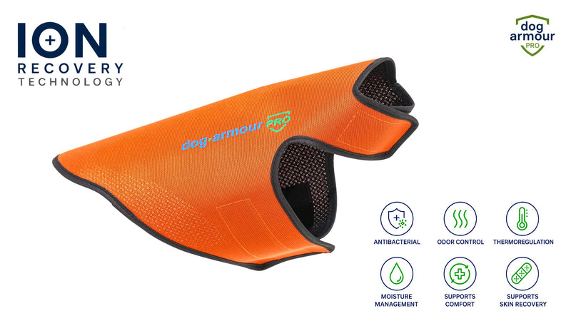 Dog Armour PRO Recovery Vest for dogs