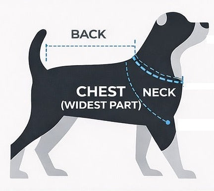 Esquema de dónde medir al perro: contorno de cuello, contorno de pecho por la parte más ancha y largo de espalda