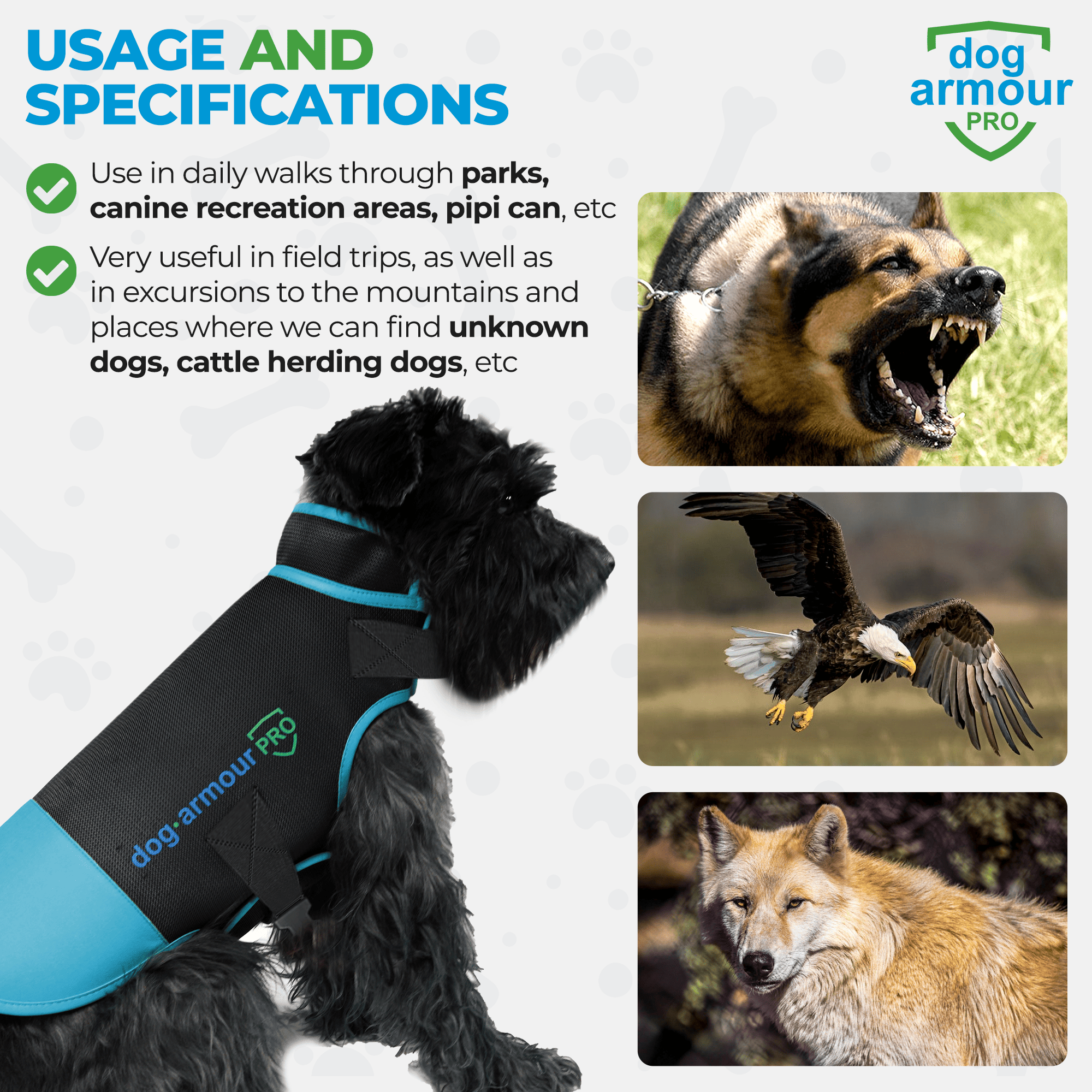 Dog protected from attacks while wearing Dog Armour PRO Anti-Bite Vest during outdoor walk