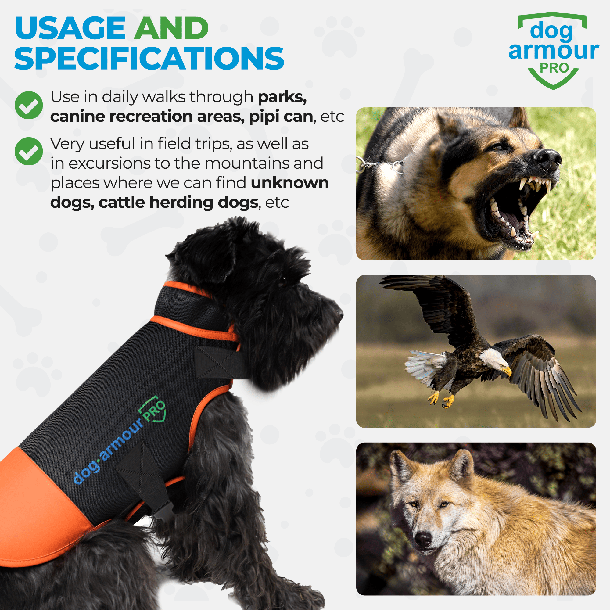 Dog protected from attacks while wearing Dog Armour PRO Anti-Bite Vest during outdoor walk