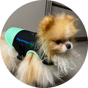 dog armour PRO 1 2