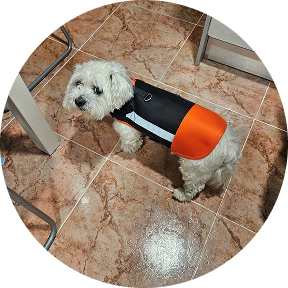 dog armour PRO 1 3