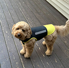 dog armour PRO 2