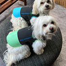 dog armour PRO 6 4