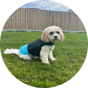 dog armour PRO 7 1
