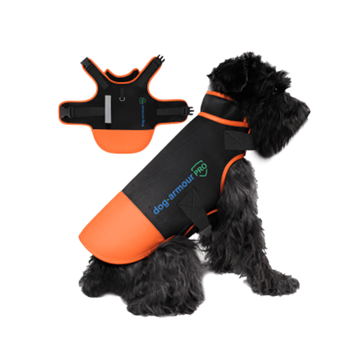 dog safety gear
