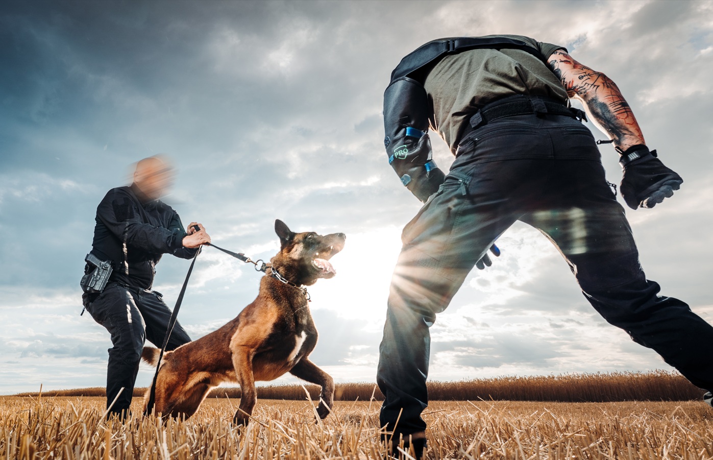 HOME 1 Dog Armour PRO