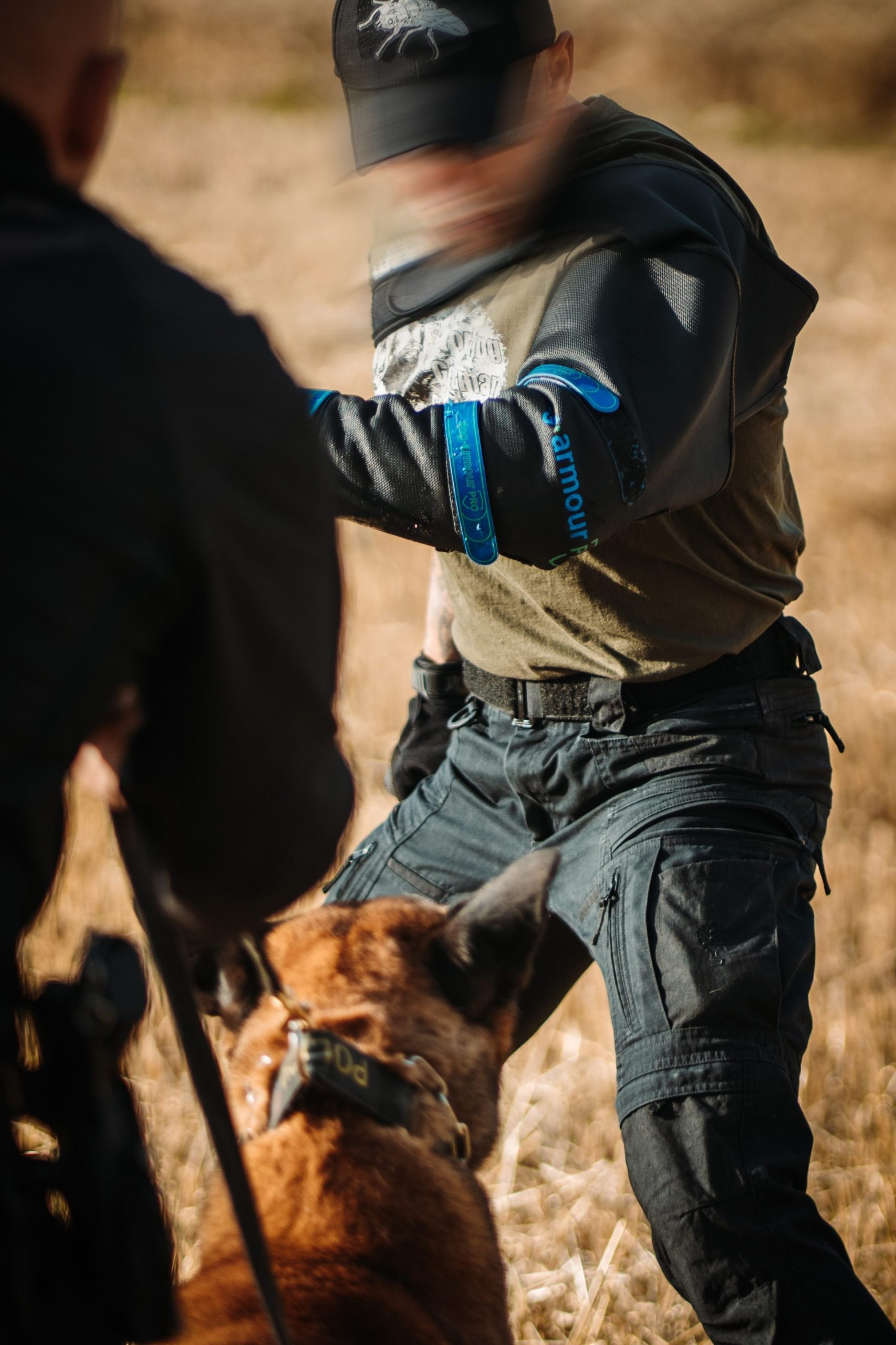 Dog Armour protective equipment for dogs